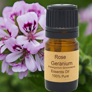 Geranium Essential Oil