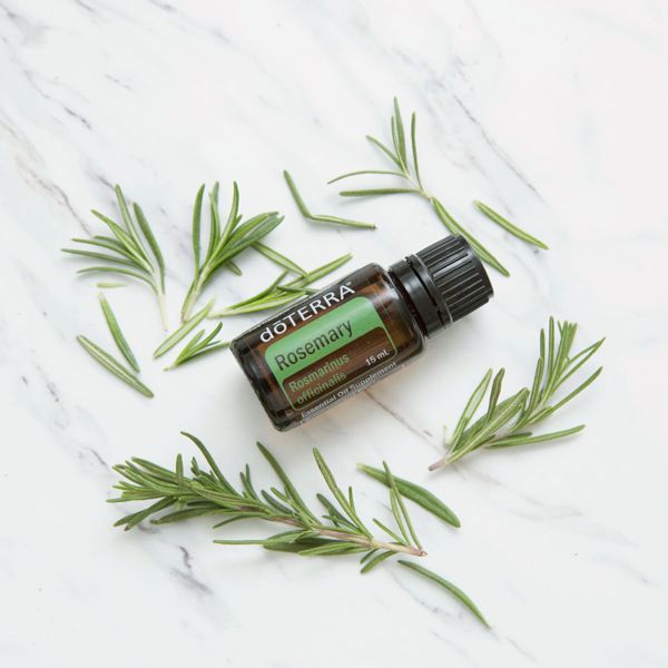 Rosemary Essential Oil